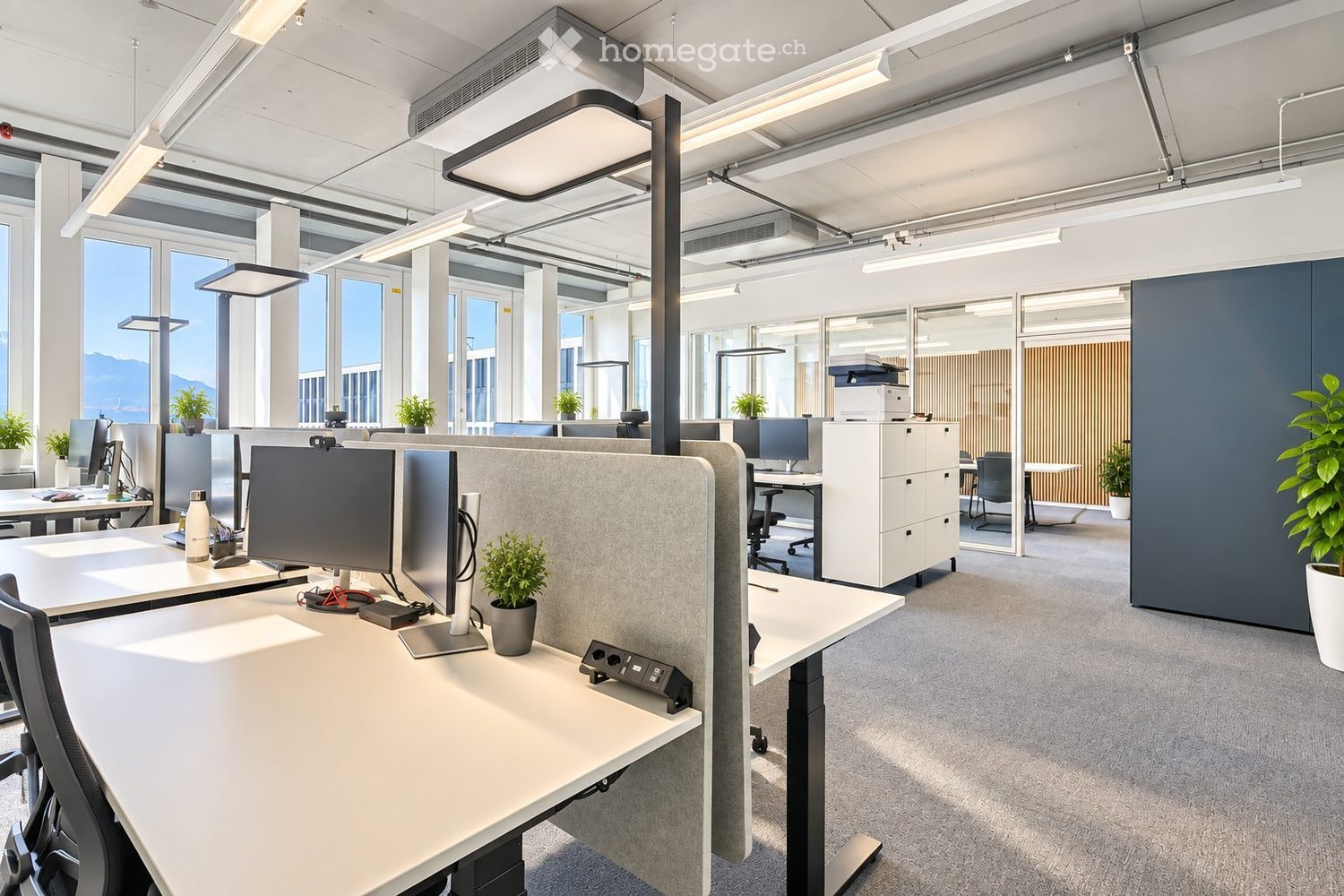 Modern office space with desks, chairs, monitors, keyboards, mice, and potted plants. Features large windows with a scenic view, white walls, and grey carpeting.