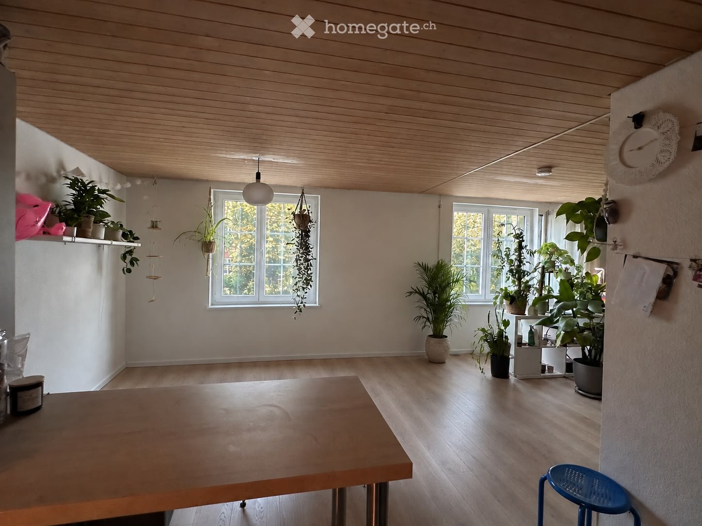 Bright, open room with wooden flooring and paneled ceiling. Features a large wooden table, a blue stool, multiple potted plants, and shelves with additional plants and decor.