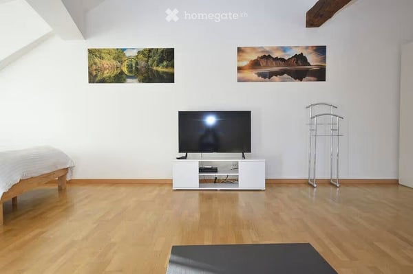 Möblierte 2-Zimmer-Wohnung in der Zürcher Altstadt am Grossmünsterplatz – 55 m² 4