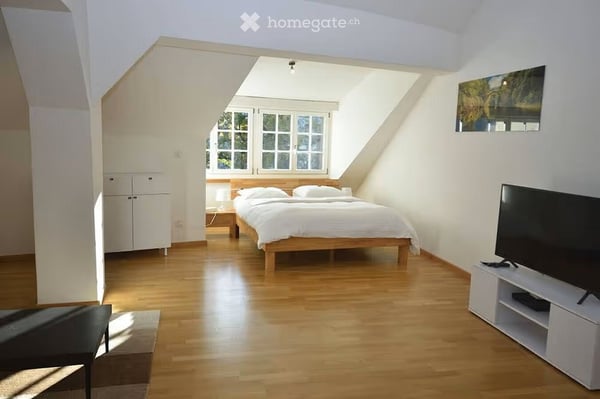 Möblierte 2-Zimmer-Wohnung in der Zürcher Altstadt am Grossmünsterplatz – 55 m² 10