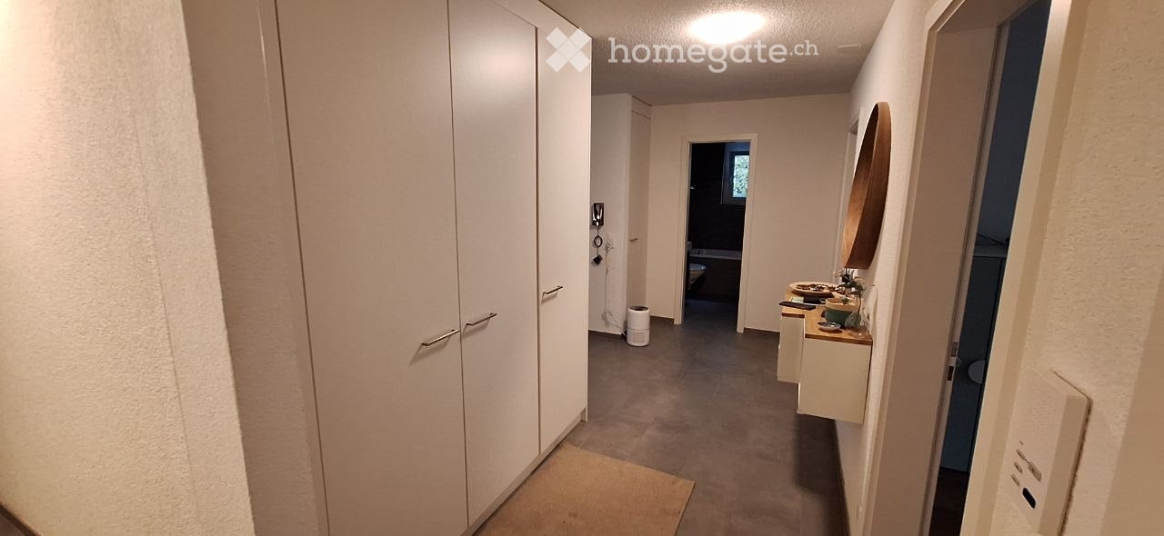 A narrow hallway with white walls, grey carpeted floor, and a large white wardrobe on the left. A small bathroom is visible at the end of the hallway, with a countertop, mirror, and various items on display.