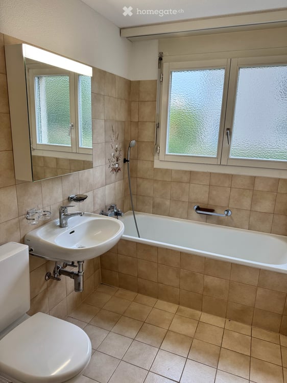 Wohnung in Geuensee 12