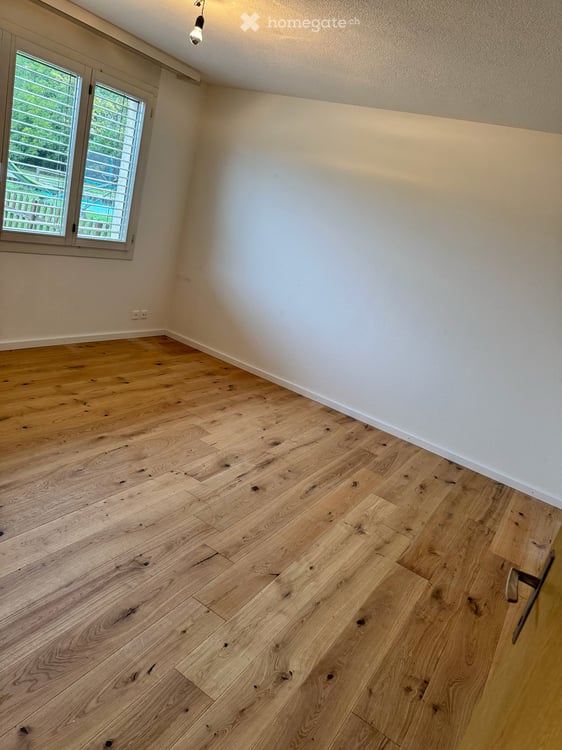Wohnung in Geuensee 8