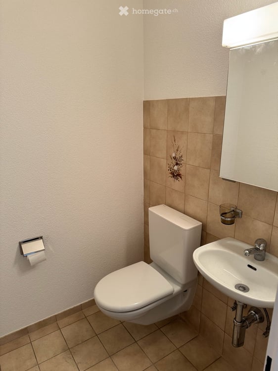 Wohnung in Geuensee 11