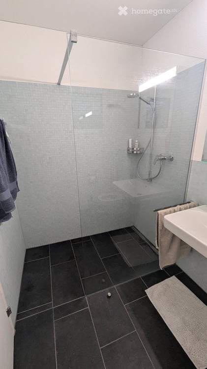 Bright 1.5-Room Apartment in Rebstein – CHF 890/month incl. Chargesebstein 3