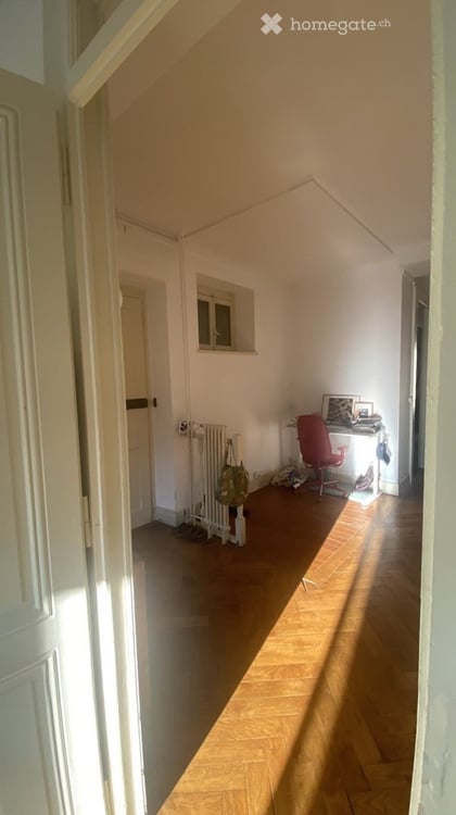 Magnifique appartement à Genève + 3 pièces (+réduit) avec balcon 3