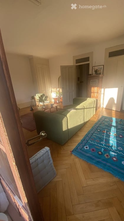 Magnifique appartement à Genève + 3 pièces (+réduit) avec balcon 2