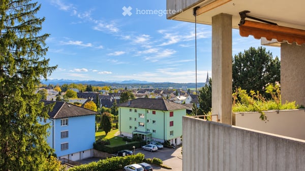 WEITBLICK ÜBER BÜLACH 1