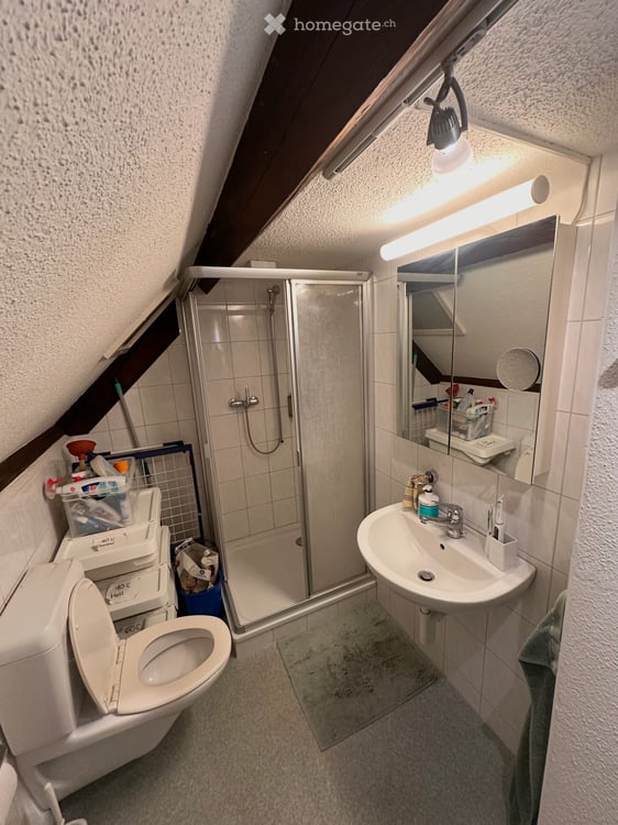 Charmante 1.5 Zimmer Dachwohnung (unbefristete Untermiete) 3