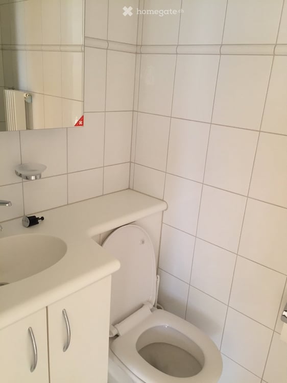3.5-Zimmer Dachwohnung in Zürich 5