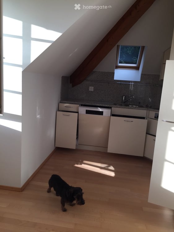 3.5-Zimmer Dachwohnung in Zürich 3
