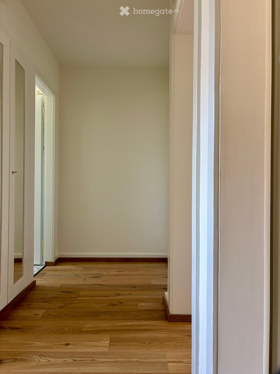 Charmante 2-Zimmerwohnung mit Balkon in Alt-Wiedikon / Binz 7