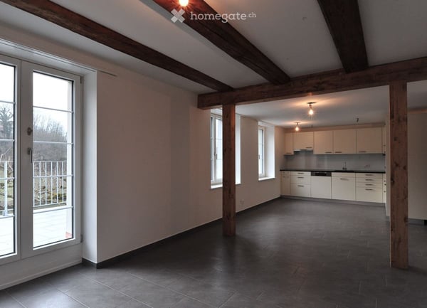 Wohnung in Kleinandelfingen direkt am Fluss Thur 7