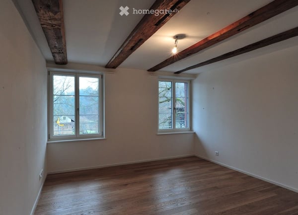 Wohnung in Kleinandelfingen direkt am Fluss Thur 9