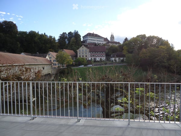 Wohnung in Kleinandelfingen direkt am Fluss Thur 3