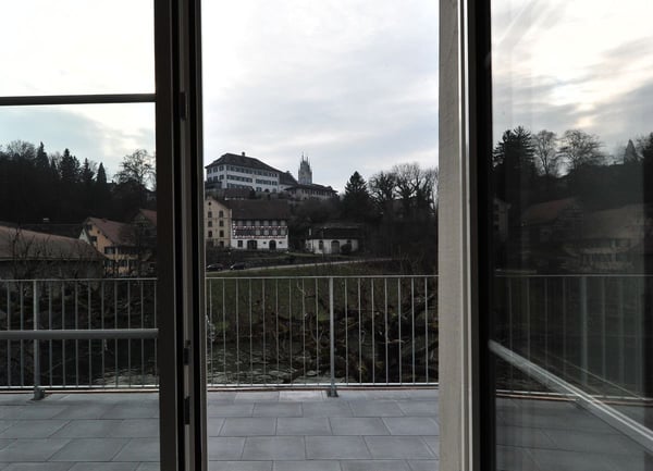 Wohnung in Kleinandelfingen direkt am Fluss Thur 4