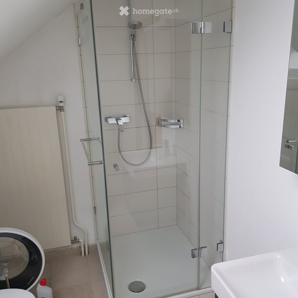 Dachwohnung in Rüti ZH 4