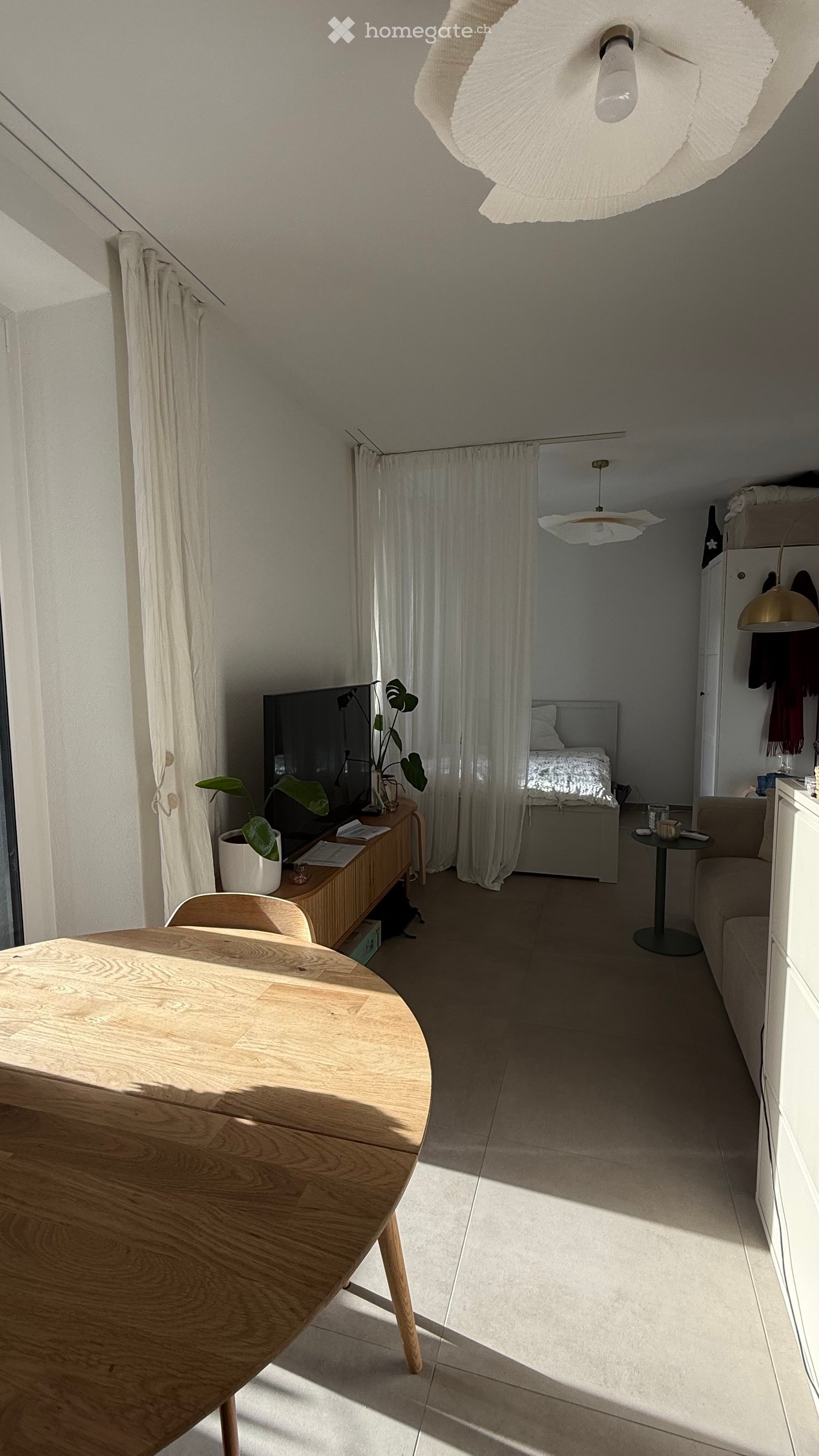 A modern, open-concept living and dining area with a round wooden dining table, chairs, a sofa, a bed, a television, and a plant. The space features large windows with curtains and modern lighting fixtures.
