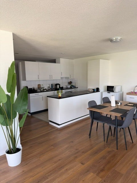 Modern kitchen with white cabinets, black countertop, and a small dining area with a table and chairs. Features include a central island, built-in appliances, and a potted plant near the entrance.