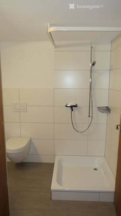Grosszügige 6.5-Zimmer-Maisonette-Wohnung in umgebauten Bauherrnhaus in Volken 16