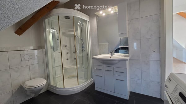 Dachwohnung mit Seesicht in Horgen 8