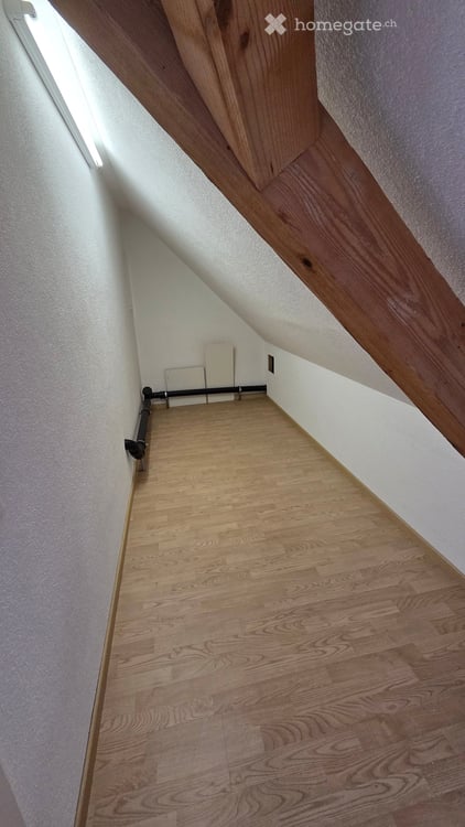 Dachwohnung mit Seesicht in Horgen 10