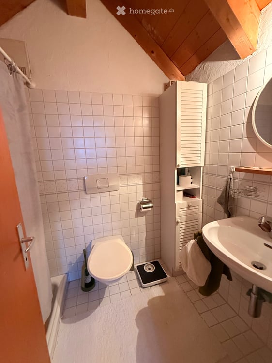 Einmalige Aussicht - Duplex-/Maisonette-Wohnung in Greifensee 7