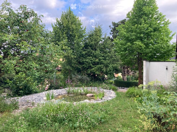 freistehendes Einfamilienhaus mit Naturgarten in Uerikon 12