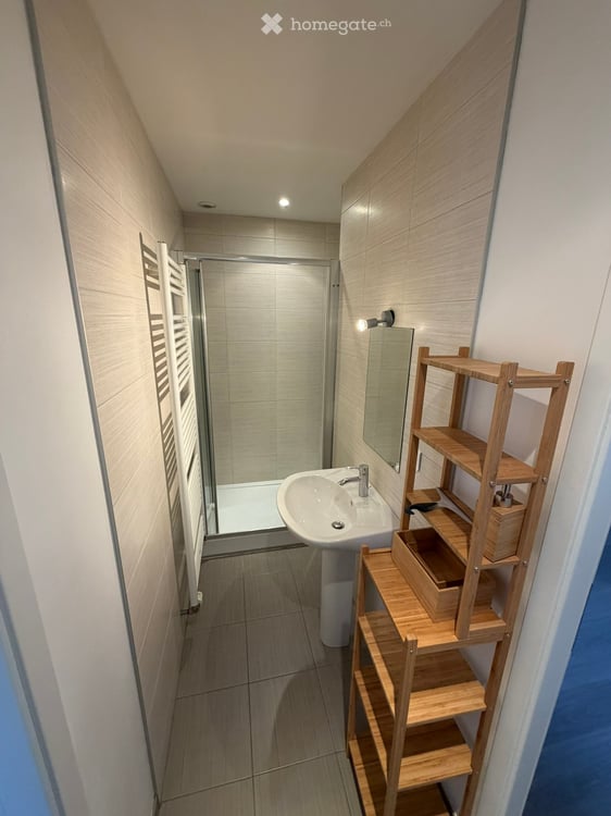 Duplex 101 m² | Altbau 1930 | Terrasse | 5 Min. bis Basel 10
