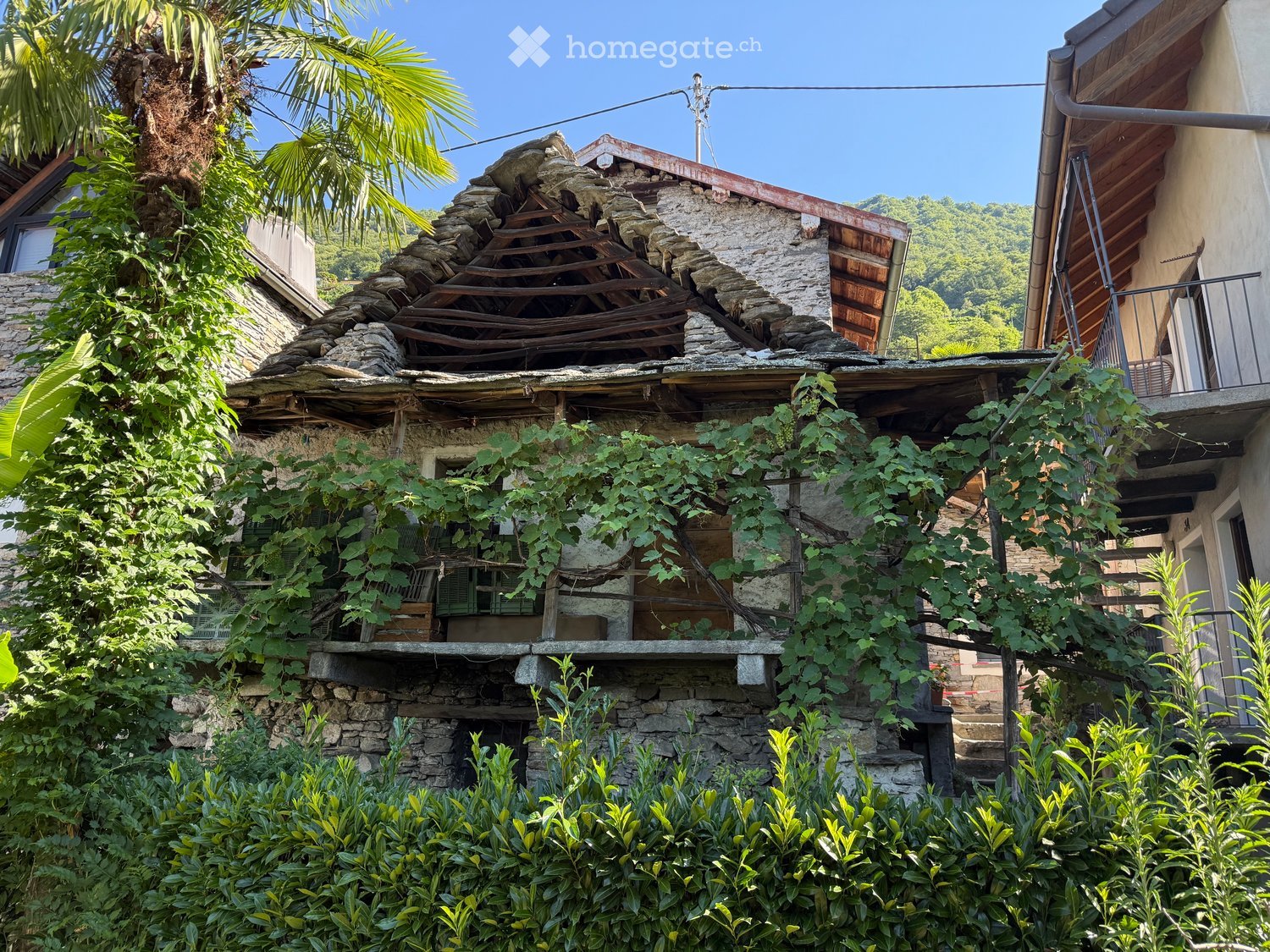 A rustic stone building with a partially collapsed roof, overgrown with vegetation and surrounded by greenery and a palm tree.