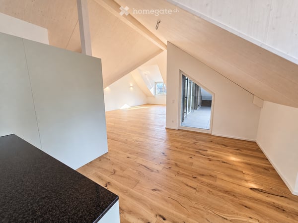 4.5-Zimmer Dachgeschosswohnung - Erstbezug in Schneisingen 2