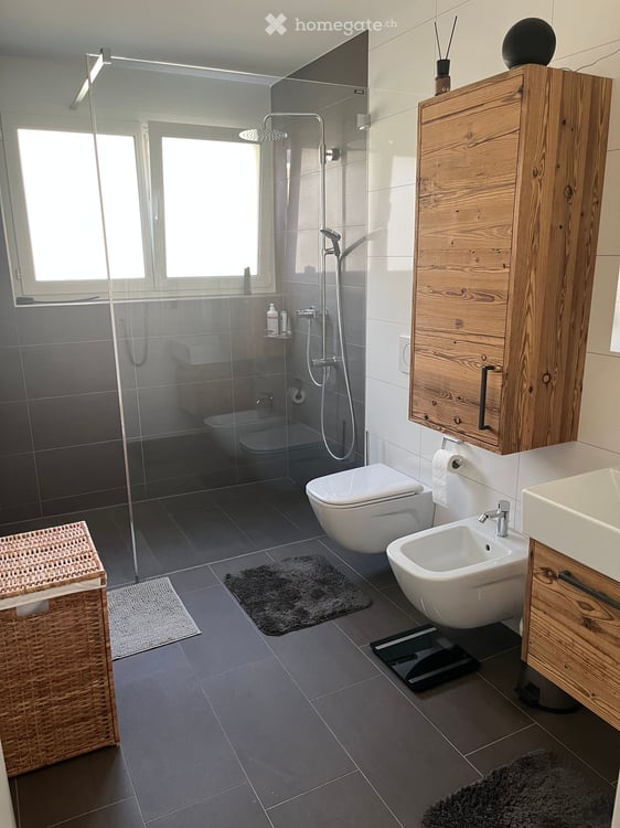 Moderne und grosszügige 4.5 Wohnung mit fantastischer Weitsicht 5