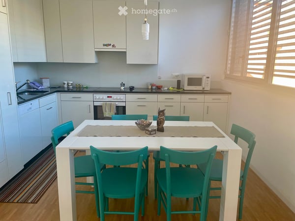 🏡 CERCASI SUBENTRANTE – DUPLEX 2.5 LOCALI A LUGANO 5