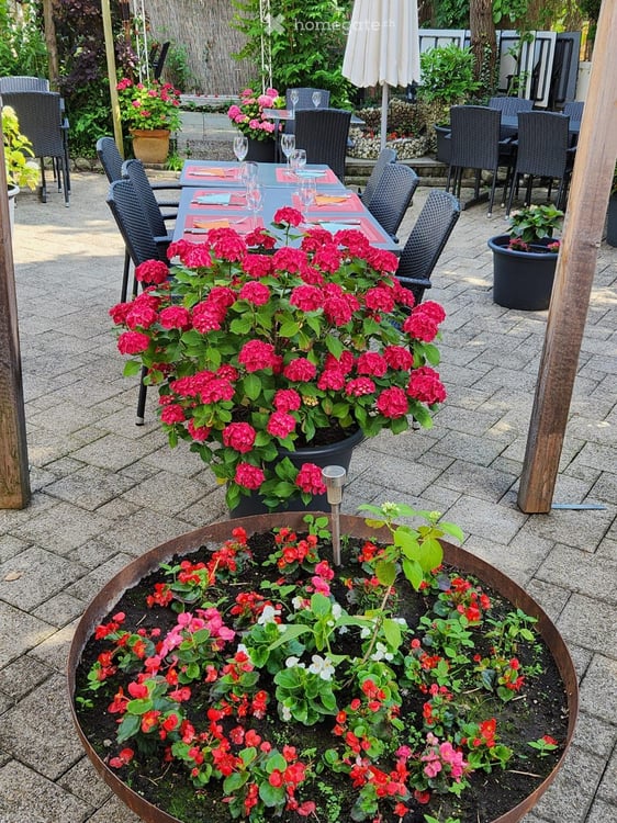 Restaurant an Passantenlage im Dorfkern Hinwil 5