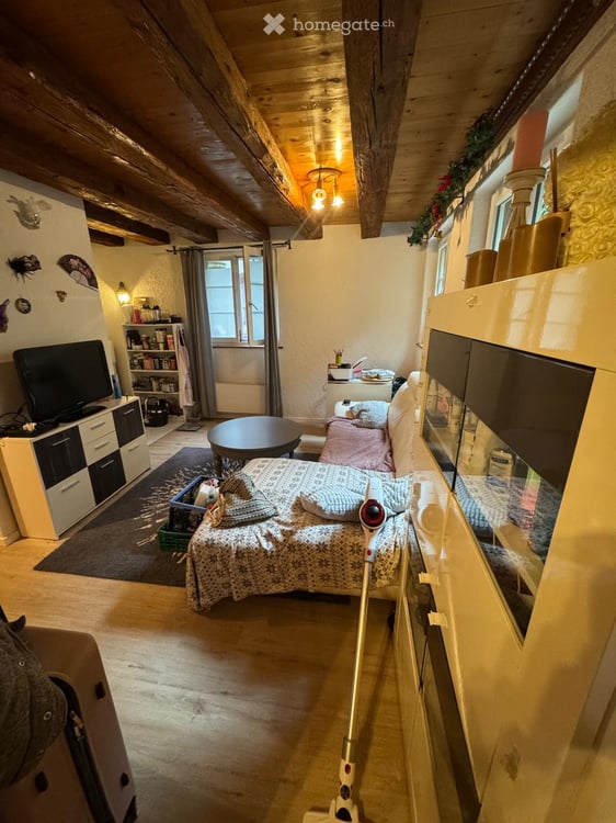 Charmante 2 Zimmerwohnung an ruhiger Lage in Alter Mühle Oberglatt 7