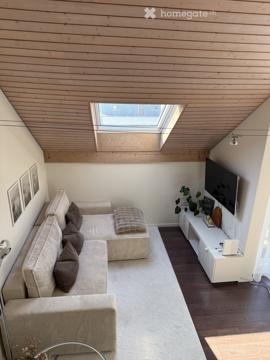 Modern living room with a sectional sofa, throw blanket, pendant lights, a small table with a plant, and a mounted screen.