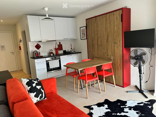 Studio lumineux et moderne à l'agencement astucieux à Pully 19