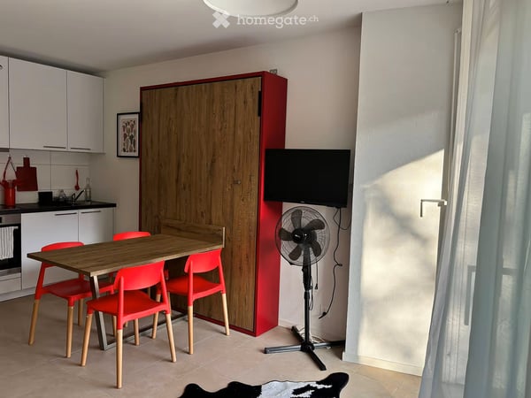 Studio lumineux et moderne à l'agencement astucieux à Pully 2