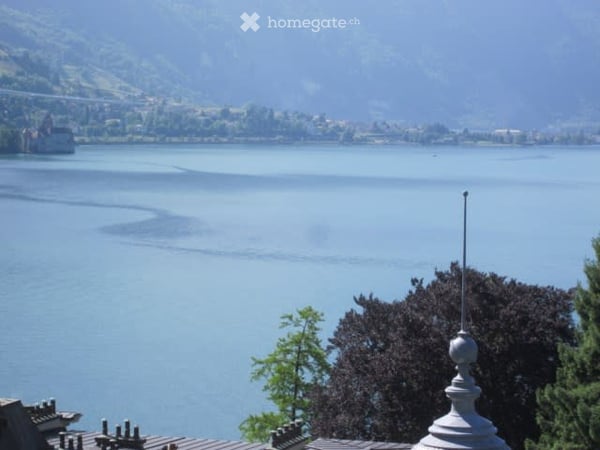 Magnifique appartement meublé ou non, 4,5 pieces, 130m2, avec vue, à 2 pas de tout 7