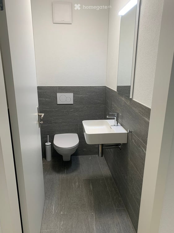 Grosse 2.5 Zimmer Attikawohnung an ruhiger und sonniger Lage 7