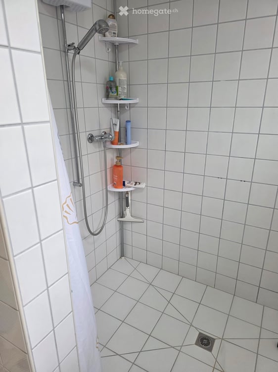 Wohnung in Zunzgen 8