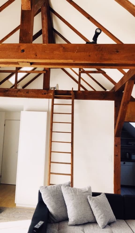 Loft-style living room with exposed wooden beams, a grey sofa with multiple pillows, and a wooden ladder leading to an attic space.