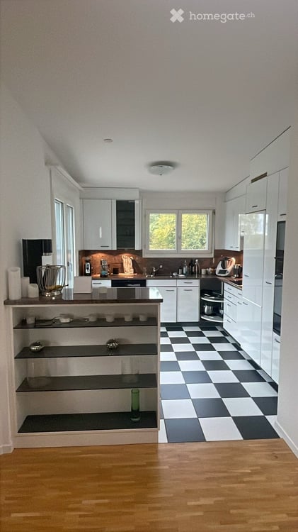 Terrassenwohnung in Luzern 1