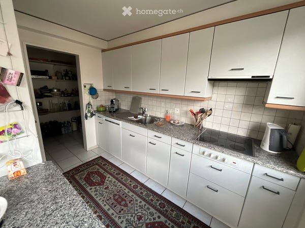Mehrfamilienhaushälfte an bevorzugter Lage in Horw 6