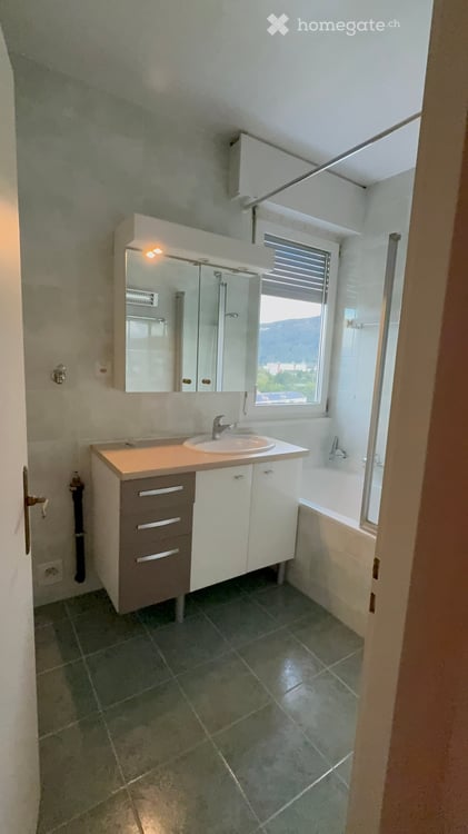 Appartement de 5 pièces au dernier étage avec vue exceptionnelle sur le Salève et le Mont-Blanc 2
