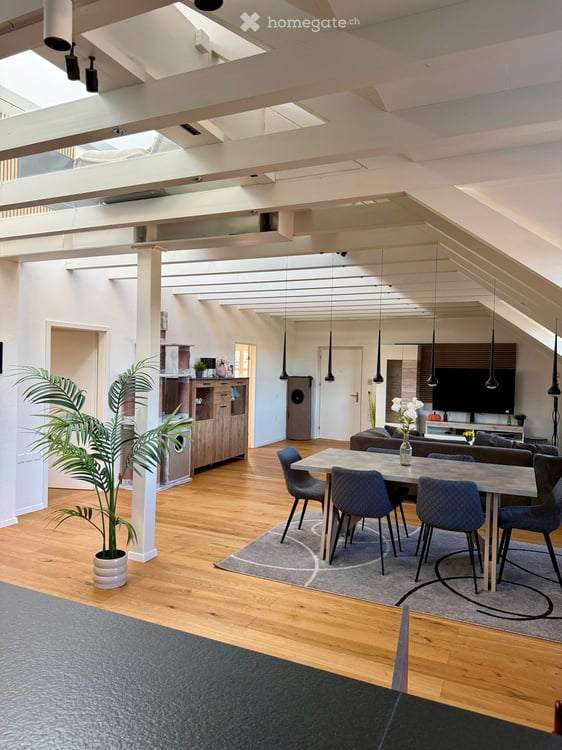 Helle, grosszügige Maisonettewohnung mit begehbarem Glasboden 1
