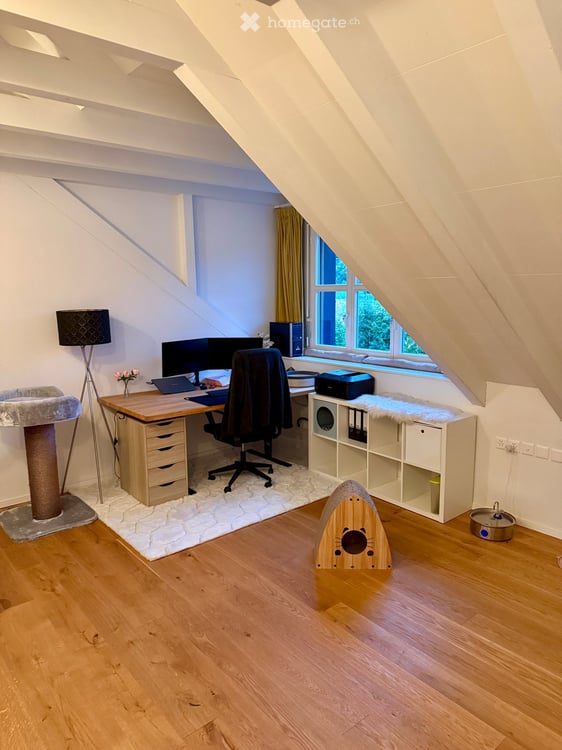 Helle, grosszügige Maisonettewohnung mit begehbarem Glasboden 3