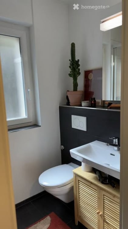 2-Zimmer-Wohnung im Erdgeschoss in Luzern (68 m²) 8