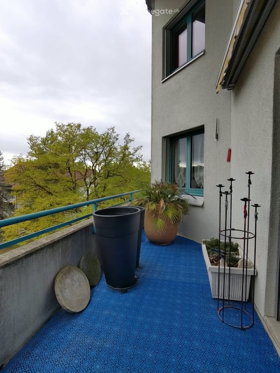 Duplex-/Maisonette-Wohnung in Frauenfeld 1