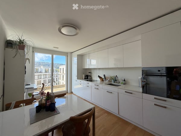Apartment in Dietikon 5